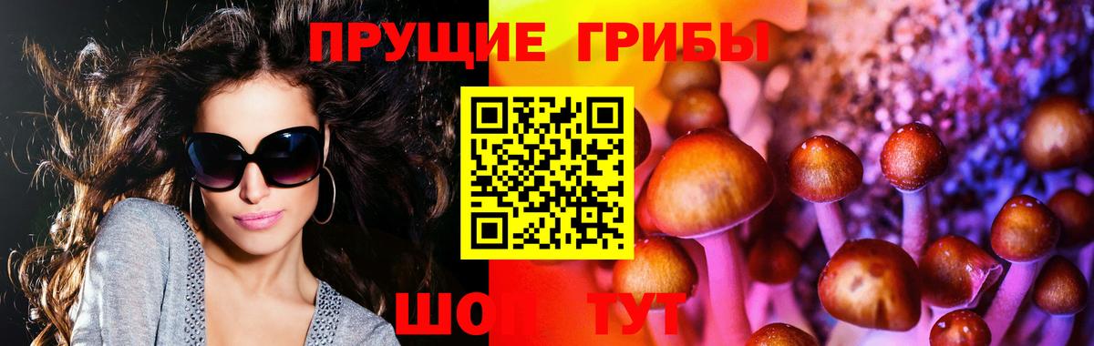 цены наркотик  Псилоцибиновые грибы ЛСД  Амурск  Вход с VPN  Псилоцибиновые грибы мицелий 